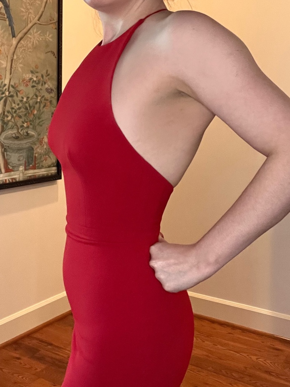 Alex Perry Red Dress - Picture 13 of 16
